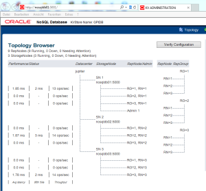 Admin Übersicht Oracle NoSQL