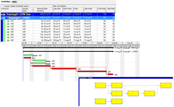 CPM in Oracle Primavera PPM Desktop 