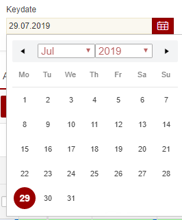  Custom ORACLE APEX Datepicker 