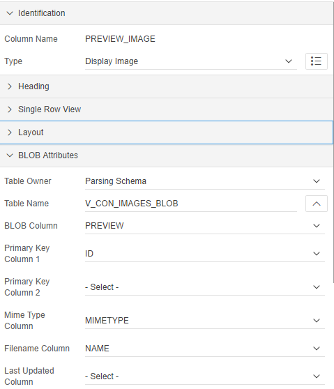  Type "Display Image" to show image in interactive report