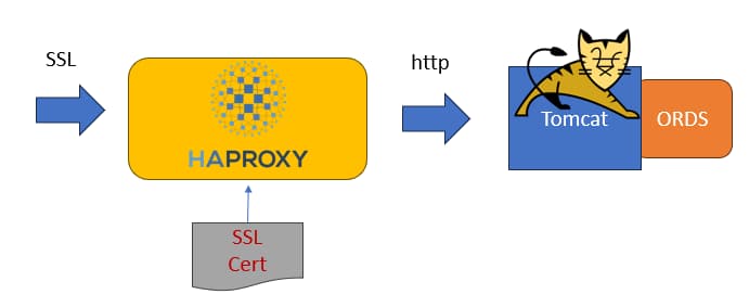  HAProxy als SSL Tomcat 